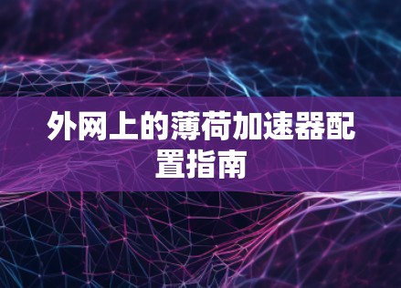 外网上的薄荷加速器配置指南